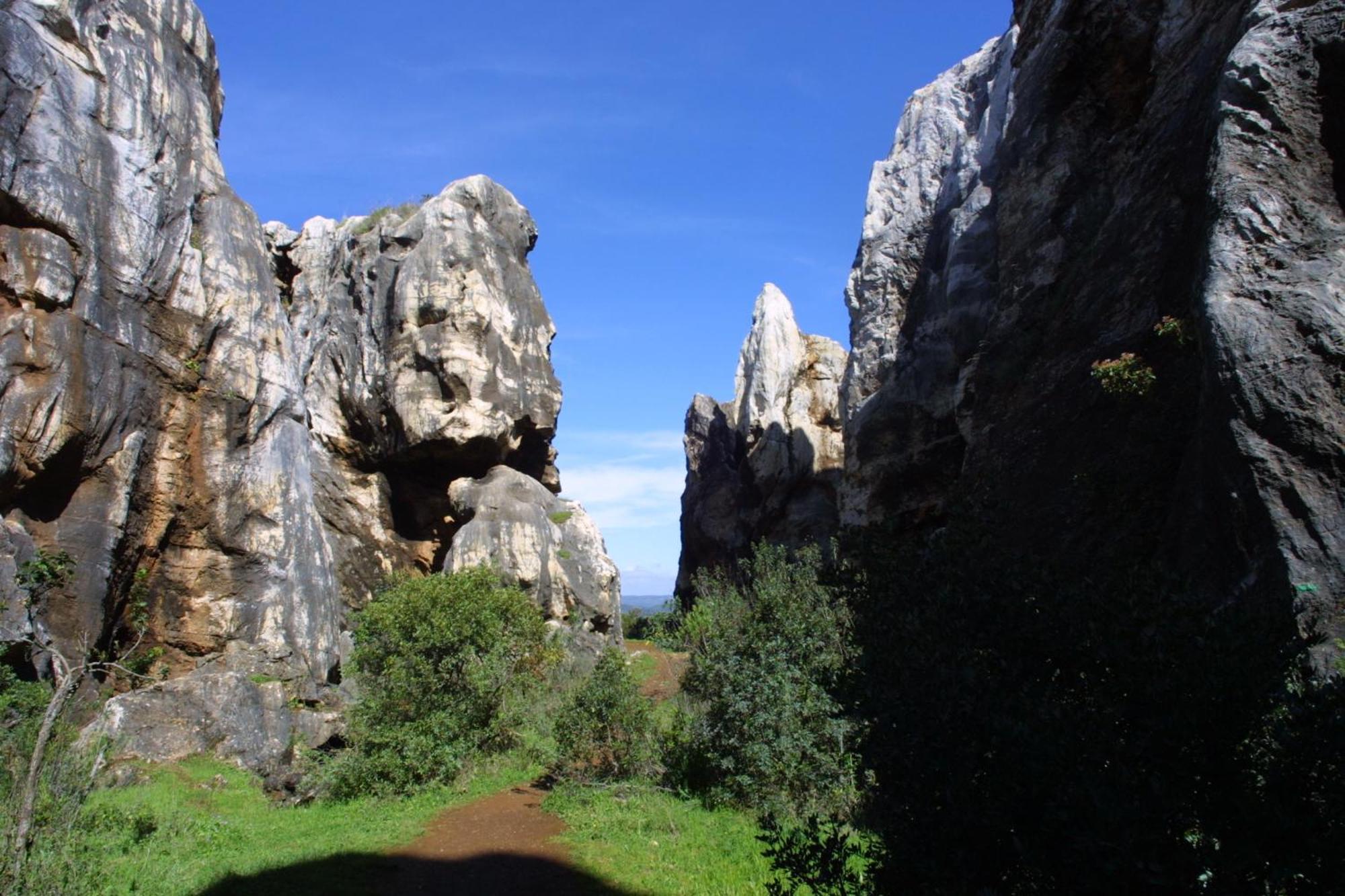 Las Navezuelas Cazalla de la Sierra Bagian luar foto